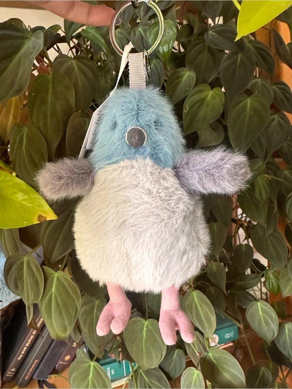 Jellycat adorable plush